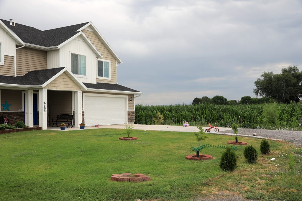 Farm house with adjoining corn field