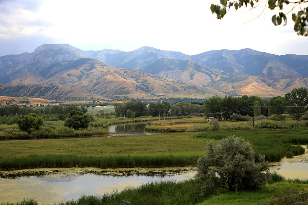 Landscape with pools and the Bear River