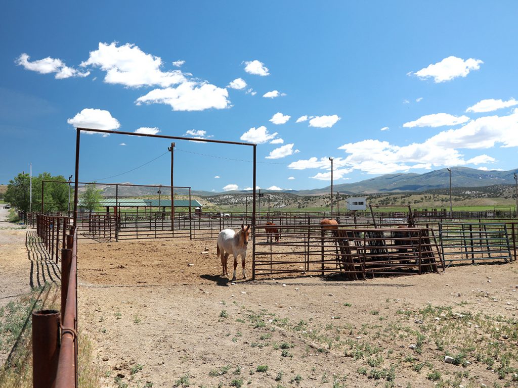 Grouse Creek Corrals